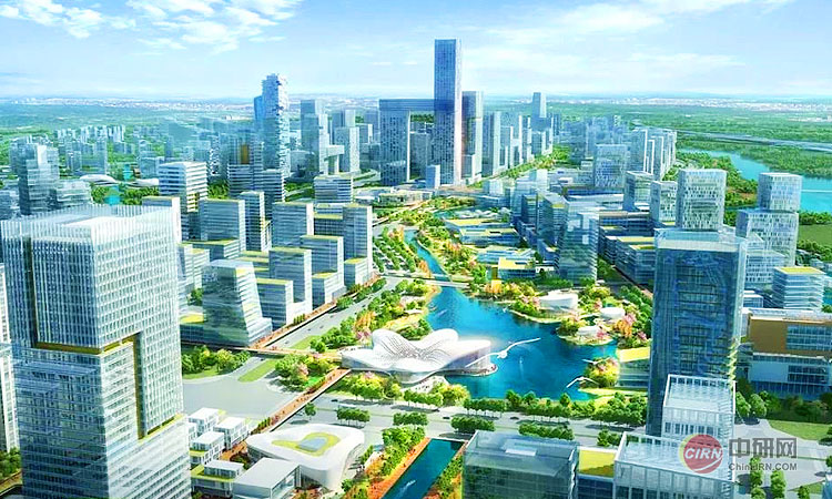 少妇性BBB搡BBB爽爽爽欧美