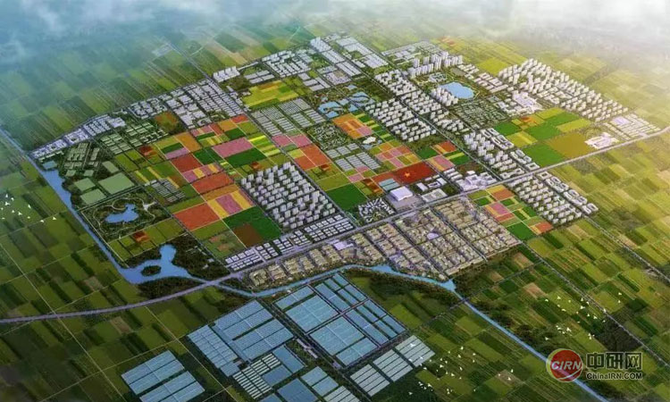 少妇性BBB搡BBB爽爽爽欧美