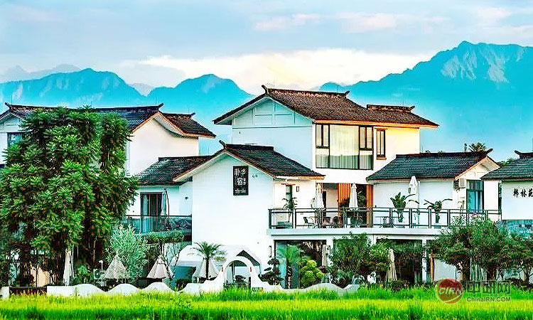 少妇性BBB搡BBB爽爽爽欧美