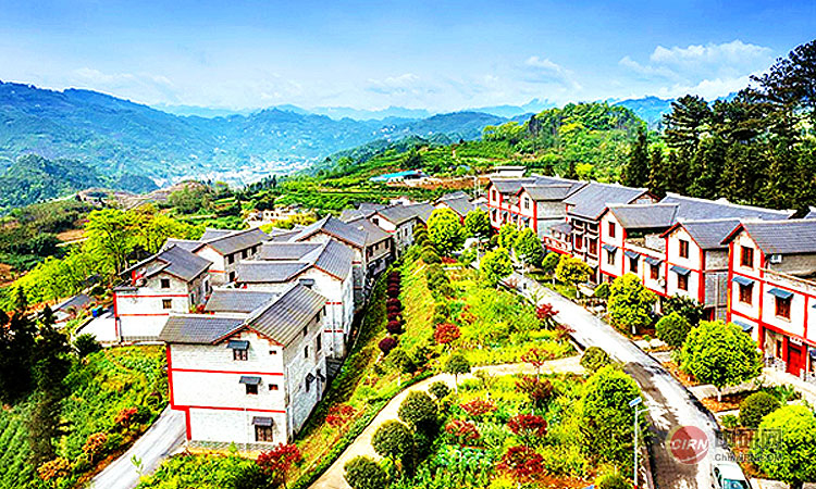 少妇性BBB搡BBB爽爽爽欧美