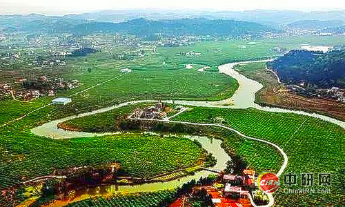 少妇性BBB搡BBB爽爽爽欧美