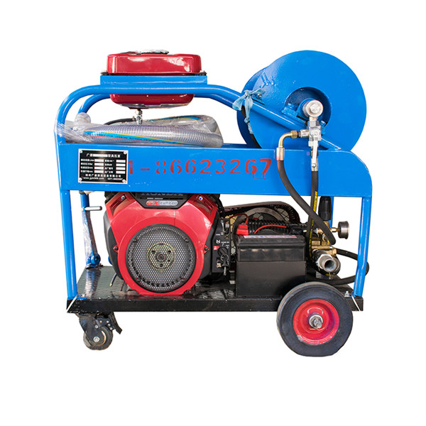 少妇性BBB搡BBB爽爽爽欧美