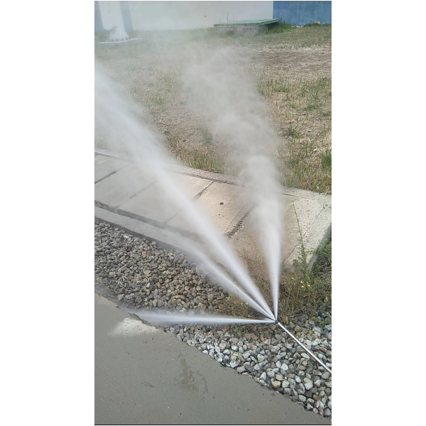 少妇性BBB搡BBB爽爽爽欧美