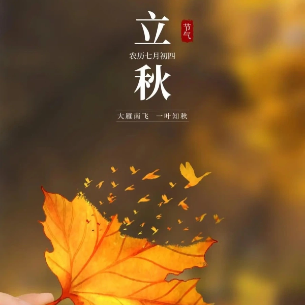 立秋｜夏未央 秋渐立