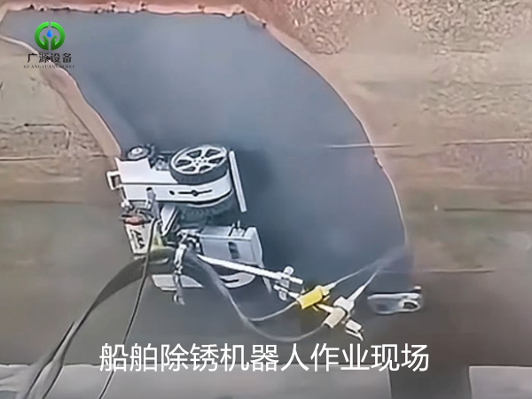 少妇性BBB搡BBB爽爽爽欧美