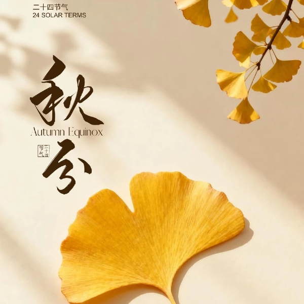 秋分｜木叶落 秋分至 愿君岁岁常安康！