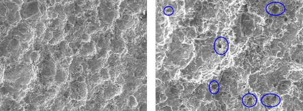 少妇性BBB搡BBB爽爽爽欧美