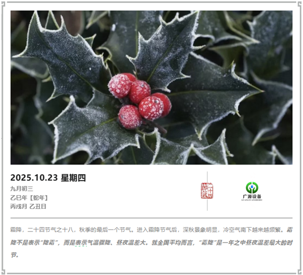 少妇性BBB搡BBB爽爽爽欧美