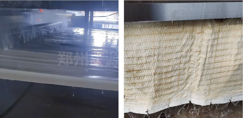 少妇性BBB搡BBB爽爽爽欧美