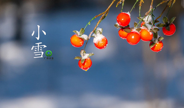 少妇性BBB搡BBB爽爽爽欧美