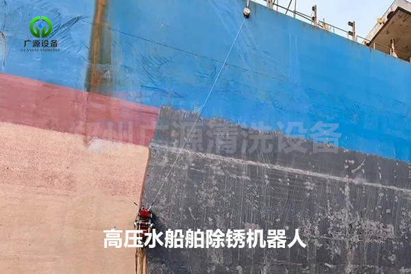 少妇性BBB搡BBB爽爽爽欧美