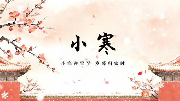 少妇性BBB搡BBB爽爽爽欧美