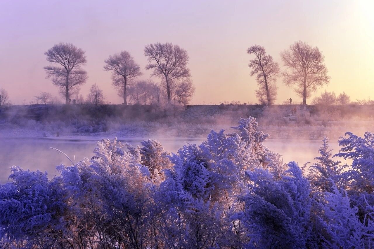 少妇性BBB搡BBB爽爽爽欧美