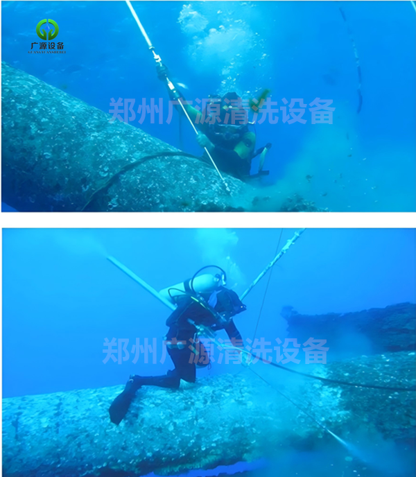 少妇性BBB搡BBB爽爽爽欧美