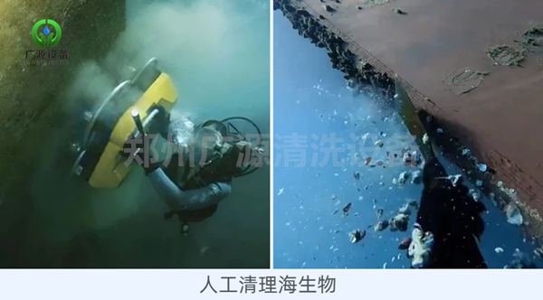 少妇性BBB搡BBB爽爽爽欧美