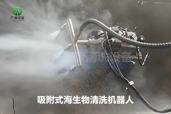 少妇性BBB搡BBB爽爽爽欧美