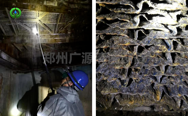 少妇性BBB搡BBB爽爽爽欧美