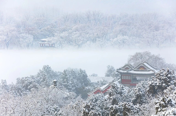 少妇性BBB搡BBB爽爽爽欧美