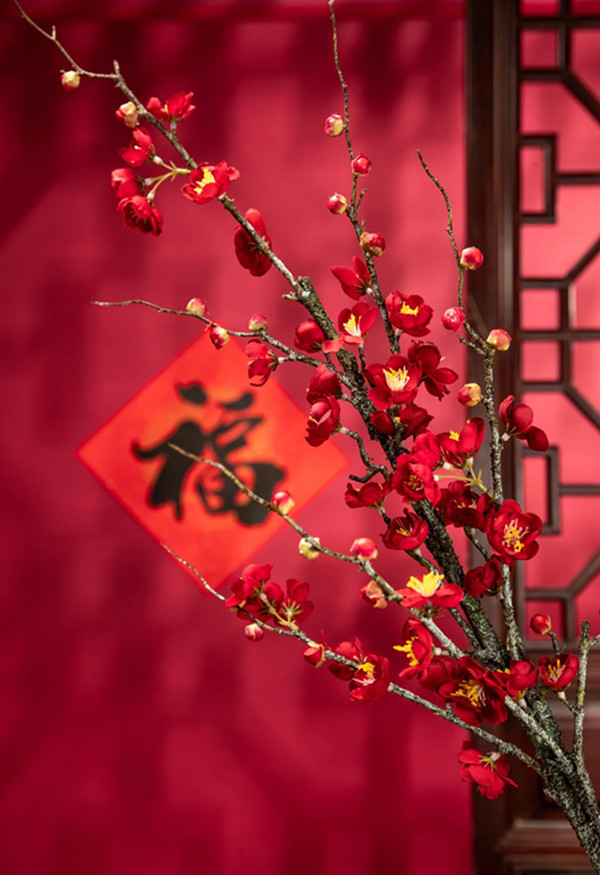 少妇性BBB搡BBB爽爽爽欧美