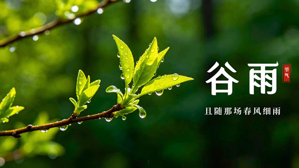 少妇性BBB搡BBB爽爽爽欧美