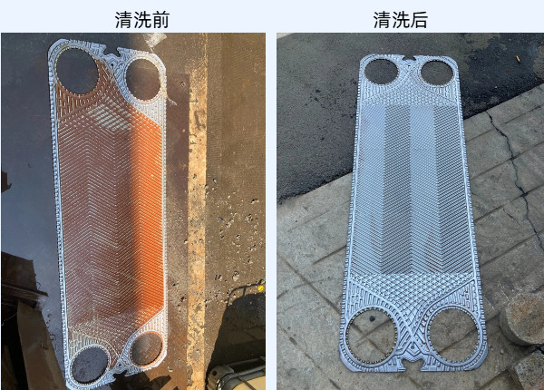 少妇性BBB搡BBB爽爽爽欧美