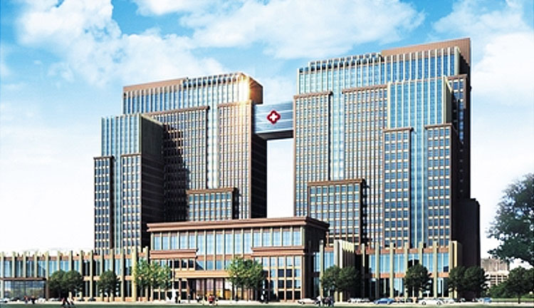 少妇性BBB搡BBB爽爽爽欧美