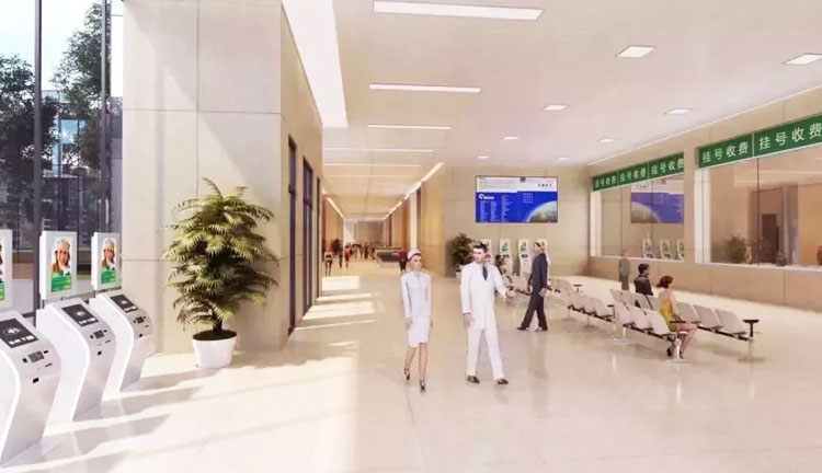 少妇性BBB搡BBB爽爽爽欧美