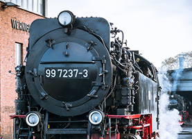 少妇性BBB搡BBB爽爽爽欧美