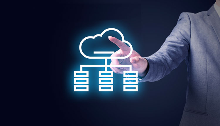 少妇性BBB搡BBB爽爽爽欧美