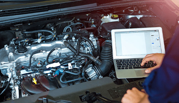 少妇性BBB搡BBB爽爽爽欧美