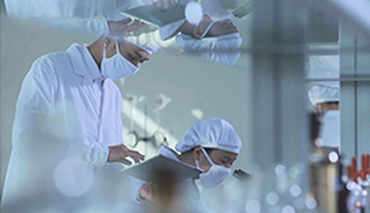 少妇性BBB搡BBB爽爽爽欧美