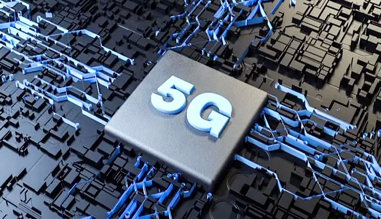 少妇性BBB搡BBB爽爽爽欧美